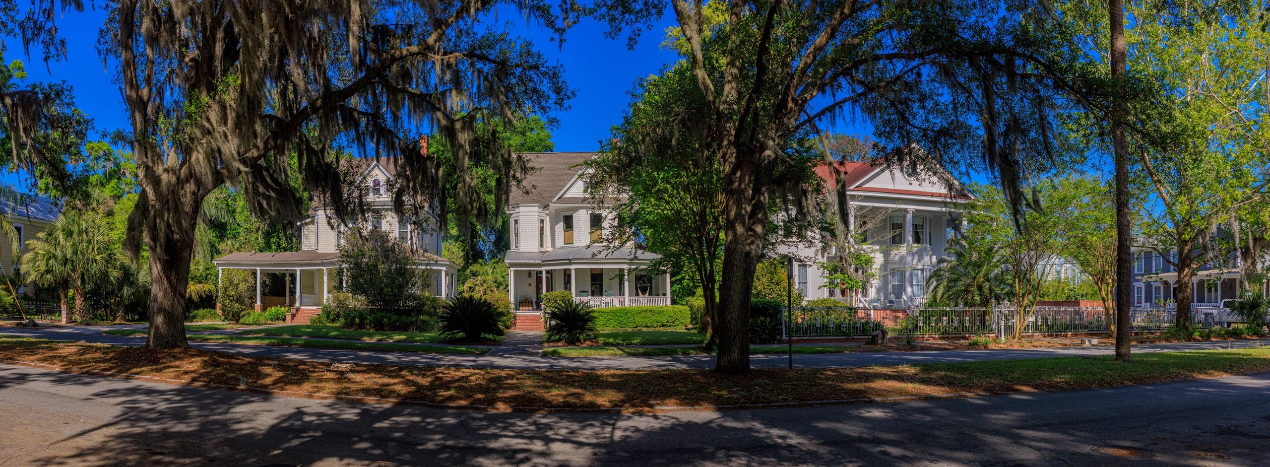Well-presented residential homes on a tree-lined street